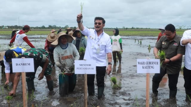 Perkuat Produksi, Mentan SYL Kawal Gerakan Tanam di Food Estate Kapuas
