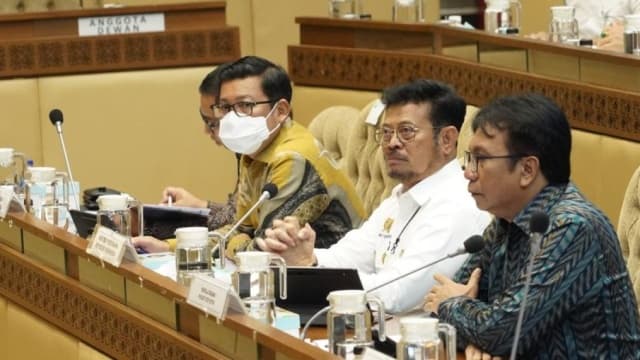 BPS : KSA Metode Terbaik yang Dimiliki Indonesia Untuk Hitung Produksi Beras