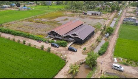 Petani Mulai Rasakan Manfaat Hilirisasi Food Estate Kalteng