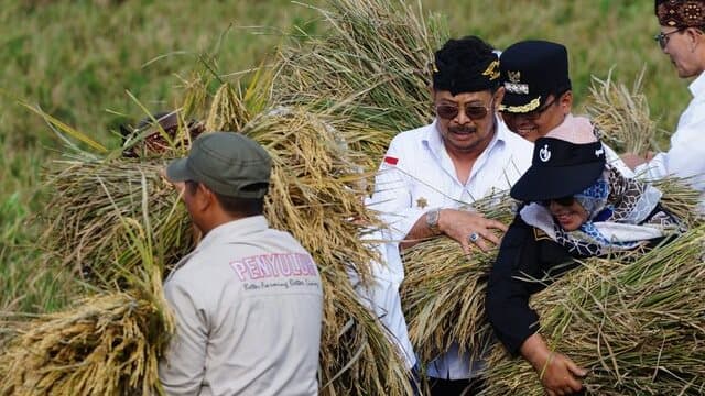 BPS: Panen Padi Kabupaten Bekasi Meningkat 3 Persen, Sangga Jabar dan DKI Jakarta