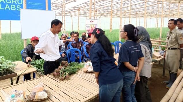 TSS dan Soil Block Seedling, Strategi Amankan Ketersediaan Bawang Merah Nasional