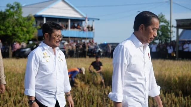 Presiden Jokowi Bersama Mentan SYL Panen Raya di Maros, Sulsel