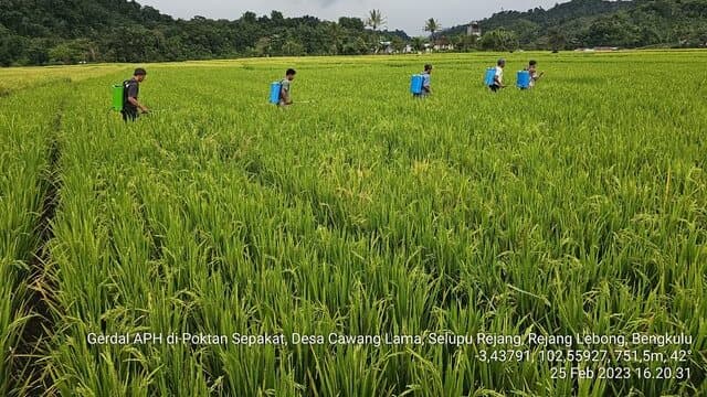 Kementerian Pertanian Terus Mendorong Penerapan Pertanian Ramah Lingkungan