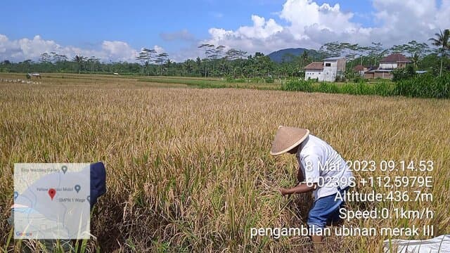 BPP Wagir dan Petani Menuju Pertanian Berkelanjutan (Agriculture Sustainable)