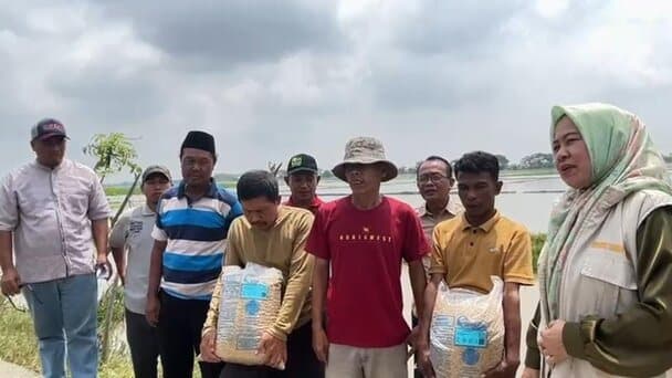 Bantuan Benih Kementan Mulai Diterima, Ketua KTNA Desa Sukakarya: Bagus dan Berkualitas