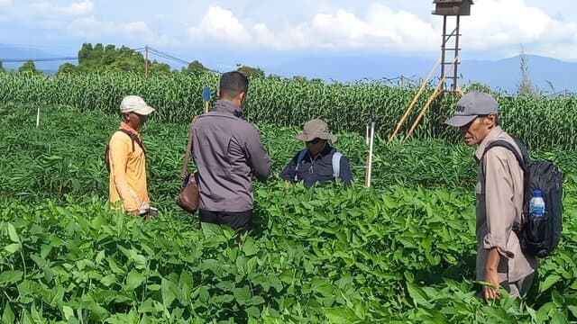 BBPOPT Lakukan Pengecekan Perlindungan Tanaman Pada Display PENAS
