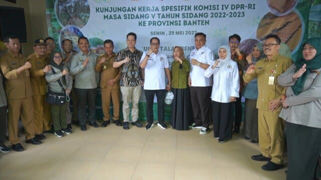 Kementan Bersama Komisi IV DPR Tinjau Komoditas Unggulan Talas Beneng Yang Berpotensi Ekspor