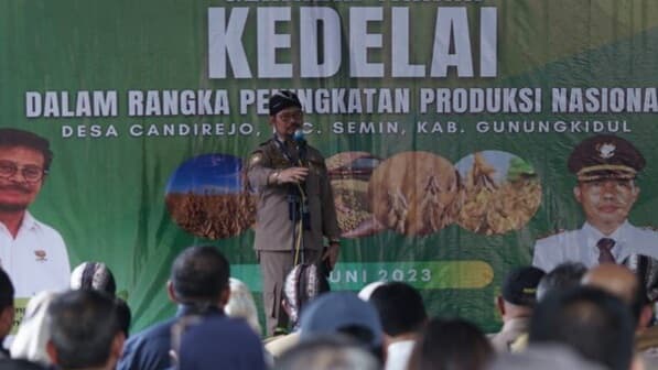 Mentan di Gunung Kidul, Tanam Kedelai Untuk Penuhi Produksi Dalam Negeri