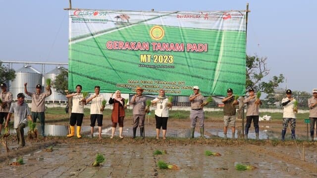 Dukung Kementerian Pertanian, BBPOPT Lakukan Gerakan Tanam MT 2023