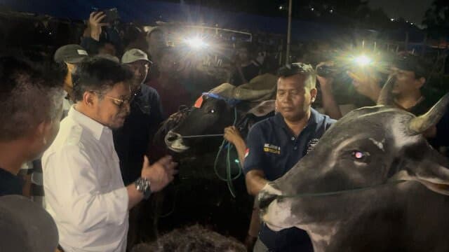 Pantau Ketersediaan Hewan Kurban di Bogor, Mentan Sebut Stok Nasional Jelang Idul Adha Aman