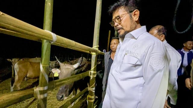 Surplus Hewan Kurban di Sulsel, Mentan SYL Siapkan 3,2 Juta Ekor Sapi Seluruh Indonesia