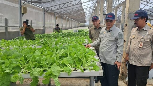 Di Tangerang, Wamentan Harvick Dorong Pengembangan Pusat Kawasan Agropolitan
