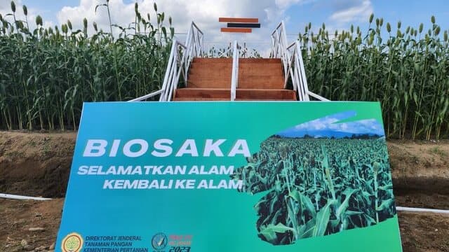 Pembuatan dan Aplikasi Biosaka Live from PENAS Sumbar