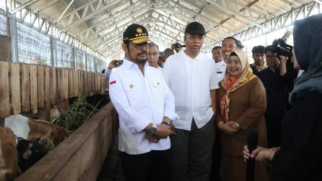 Cek Ketersediaan Sapi di NTB, Mentan Pastikan Pemasangan Eartag Sesuai SOP