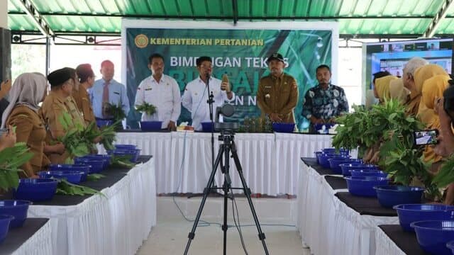 Antisipasi Dampak El Nino Dan Krisis Pangan Global Kementan Gelar Rakor Di Jatim