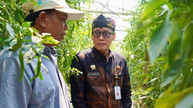 Kementan Apresiasi Penerapan Smart Farming Oleh Petani Milenial Pasuruan