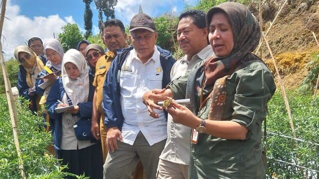 Kementan Targetkan Lembah Gumanti dan Singgalang Sumbar Menjadi Kawasan Ramah Lingkungan