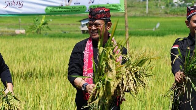 Mentan: Panen dan Tanam Padi di Kota Semarang Perkuat Ketersediaan Pangan Hadapi El Nino
