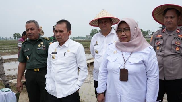 Antisipasi Dampak El Nino, Mentan Dorong Percepatan Tanam Padi di Lampung