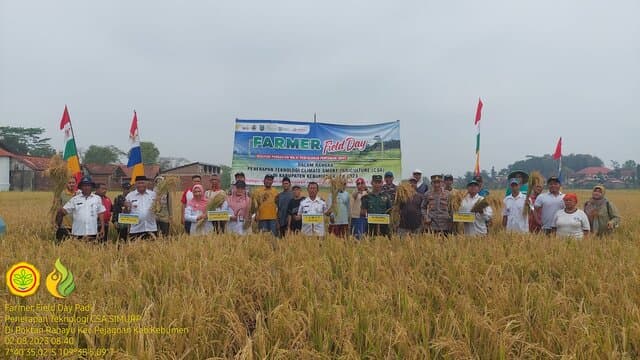 Hasil Panen CSA Melejit, Petani Pejagoan Untung Berlipat