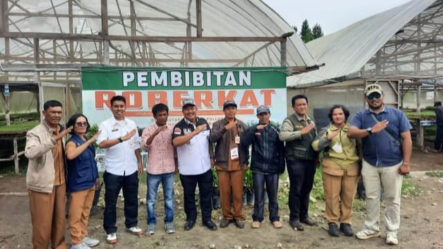 Geluti Agribisnis Sayuran, Antarkan Petani Muda Humbahas Ini Jutawan Baru