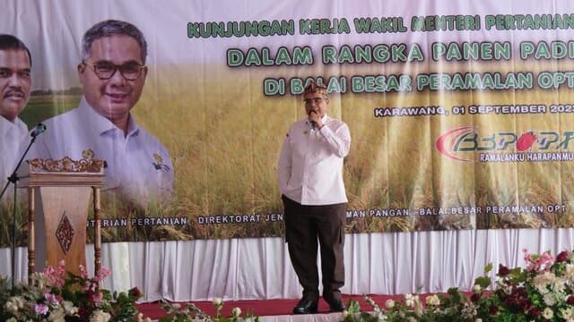 Di Karawang, Wamentan Panen Padi, Tanam Kedelai Hingga Cek Perairan