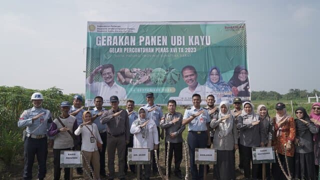 Kementan Tingkatkan Produktivitas Ubi Kayu untuk Mewujudkan Ketahanan Pangan Nasional