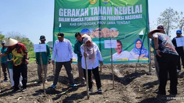 Kabupaten Grobogan Siap Mensukseskan Pengembangan Kedelai Nasional Seluas 50 Ribu Ha