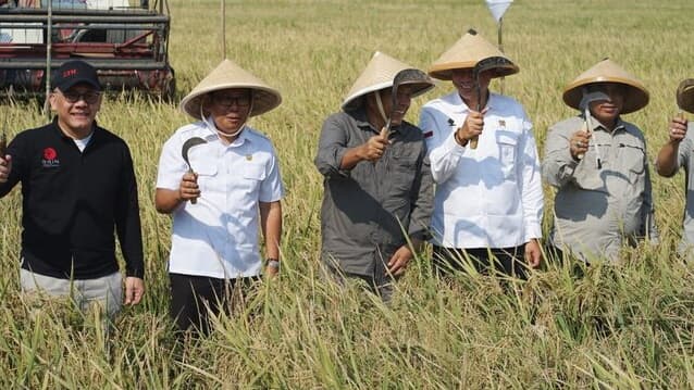 Plt Mentan Dorong Pembangunan Ekosistem Pangan Nasional