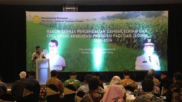 Hadapi El Nino, Mentan Amran Gerak Cepat Garap Lahan Rawa di Sumsel Jadi Lahan Produktif