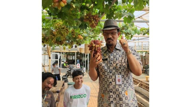 Direktur Buah dan Florikultura: Anggur Indonesia Harus Menjadi Tuan di Negeri Sendiri