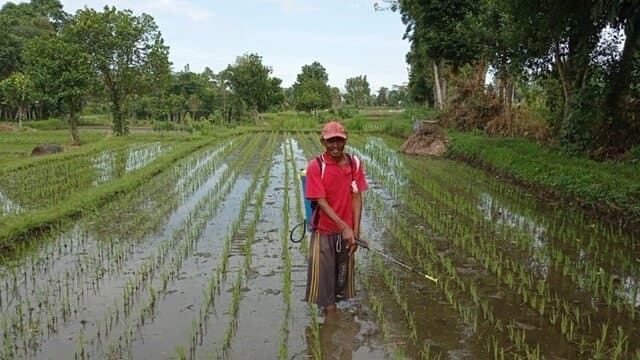 Kementan Dorong Pelaku Usaha Terjun ke Bisnis Pertanian Organik