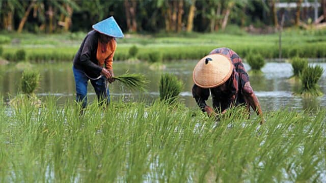 Kementan Dorong Penguatan Kelembagaan Petani di Indonesia