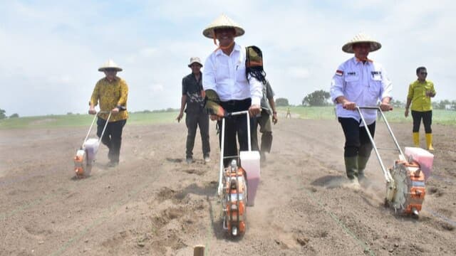 Mentan Amran Tanam Jagung di Sumbawa Untuk Perkuat Persediaan Nasional 2024