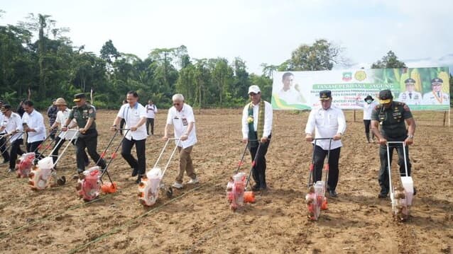 Pulang Kampung, Mentan Amran Tanam Jagung Di Konawe Utara