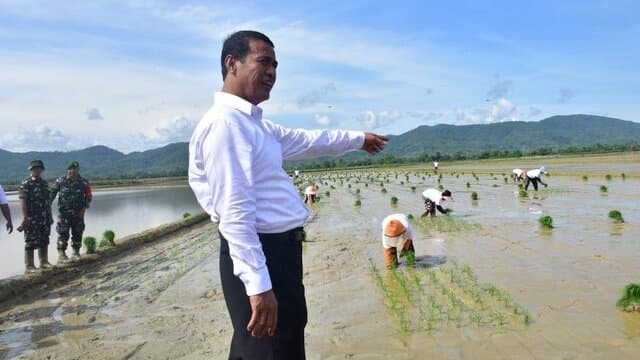 Awal Hujan, Mentan Dorong Petani Sultra Percepat Masa Tanam dan Tidak Khawatir Pupuk