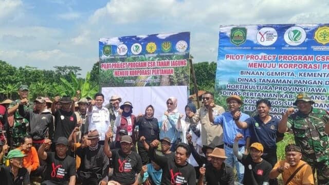 Kementan Bersama Gempita Genjot Penanaman Jagung di Subang, Jabar