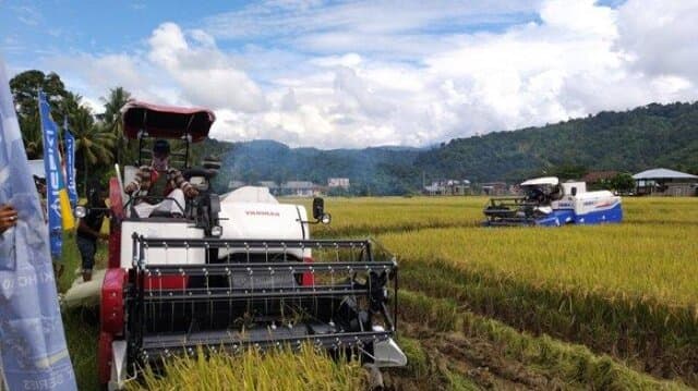 Sulawesi Selatan Mulai Panen