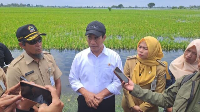 Lapor Presiden, Mentan Pastikan Produksi Padi dan Jagung Berjalan Baik