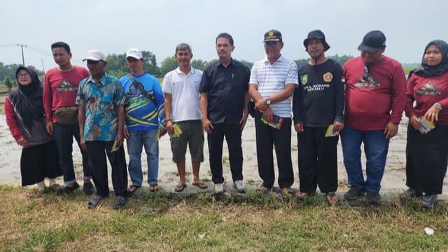 Turun Ke Subang, Kementan Bantu Mensolusi Petani