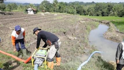 Mentan: Merah Putih Memanggil Kita Segera Turun Ke Sawah