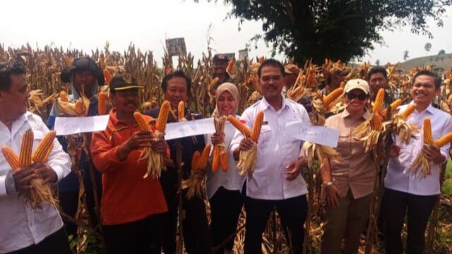 Gelar Panen di Pati, Kementan Sebut Produksi Jagung Nasional Awal 2024 Naik Tajam