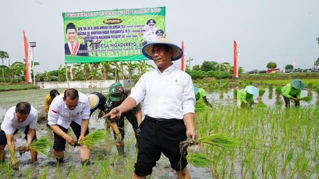 Inilah Sebaran Pasokan 10 Provinsi Produsen Beras 2024