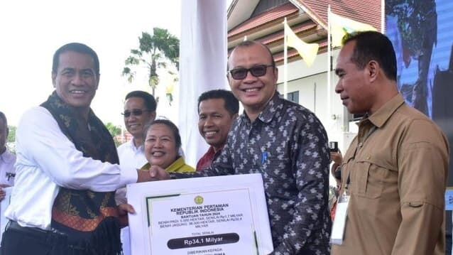 Hasil Panen Jagung Maret-April Melimpah, Ini 10 Kabupaten Produsen Terbesar