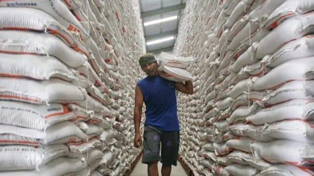 Sentra Produksi di Sumatera Memasuki Musim Panen, Harga Beras Mulai Turun