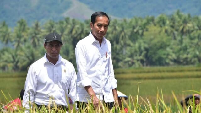 Di Sulteng, Presiden Jokowi Apresiasi Gebrakan Mentan Amran Lakukan Percepatan Tanam Padi