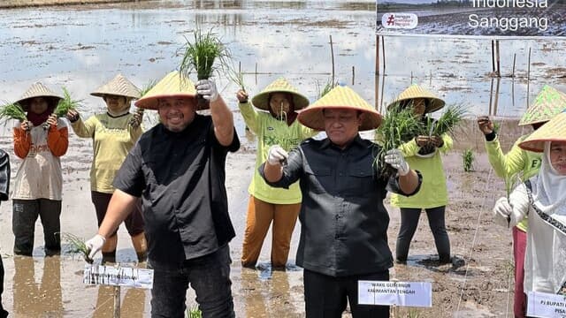 Kebut Optimalisasi Lahan, Kementan Gelar Tanam Padi Perdana di Kalimantan Tengah