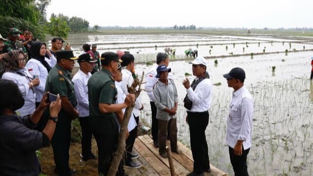 Amran Sulaiman: Pompanisasi Tingkatkan Produksi Beras Jateng 1,2 Juta Ton