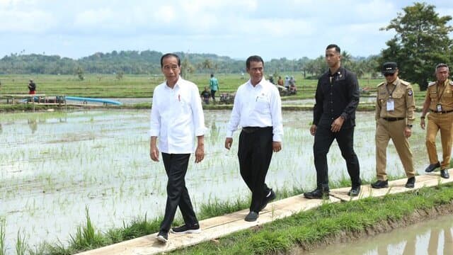 Presiden Kunker di Bone, Petani Sebut Jokowi dan Mentan Amran Berkah Bagi Kemajuan Pertanian Indonesia
