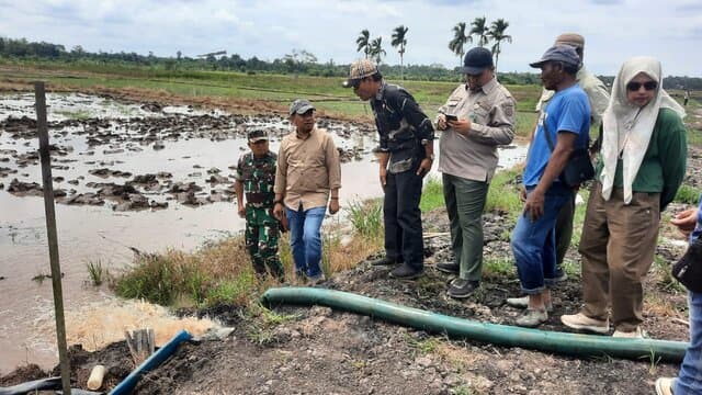 Kementerian Pertanian Bekerja Keras Mengatasi Krisis Pangan Akibat Perubahan Iklim yang Ekstrem